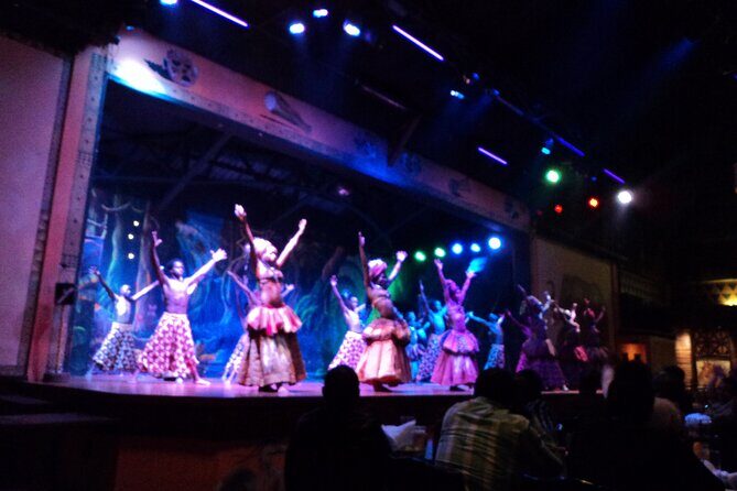 Safari Cat Dancers Show And Dinner - Final Thoughts: Why You Should Consider It