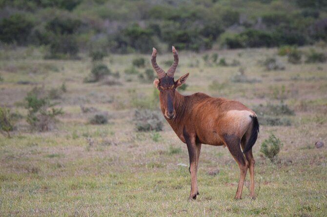 Safari Cycle and !Khwa ttu San Heritage Experience - Who Will Love This Tour?