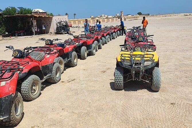 Safari Desert ATV Quad bike Tour From Sharm El sheikh - Authentic Experiences and Real Traveler Insights