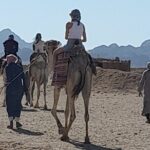 Safari Dessert tour in Hurghada - What’s Included and What’s Not