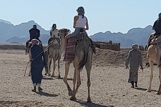 Safari Dessert tour in Hurghada - What’s Included and What’s Not