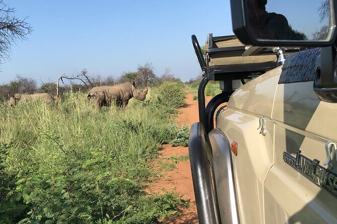 Safari Game Drive: Dinokeng Game Reserve - Who Should Book This Tour?
