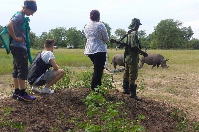Safari Game Drive & Rhino Walks In The Mosi-oa-Tunya National Park - Why the Cost Is Justified