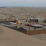 Safari Half-Day Adventure from Abu Dhabi - Visiting the Desert Camp: Culture and Activities