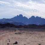 Safari Hurghada - Desert Safari Hurghada Egypt - Final Thoughts: Who Should Consider This Tour?