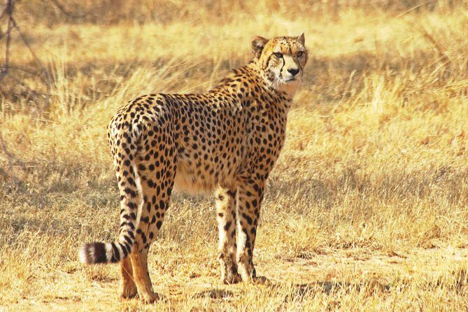 Safari in the Kruger National Park - 4 Days-all Inclusive & private - Worth the Price?