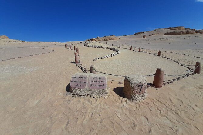 Safari pravite Day Tour to El Fayoum Oasis includes Whales Valley by 4X4 Car - Why This Tour Offers Great Value