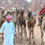 Safari Quad Bike Adventure, Camel, Show, Dinner & Stargazing - Practical Tips and Considerations