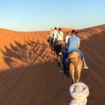 Sahara Desert 3 days trip from Marrakech to Fez - Authentic Experiences and Traveler Highlights