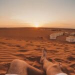 Sahara Desert Tour - 2 Days - Fez to Marrakech OR Return to Fez - The Itinerary – What to Expect