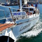 Sailing in The Bay by Catamaran (One Hour) - Who Is This Tour Best Suited For?