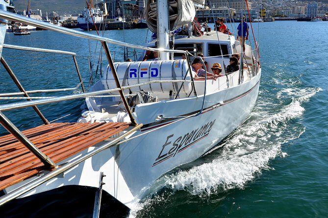 Sailing in The Bay by Catamaran (One Hour) - Who Is This Tour Best Suited For?