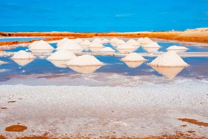 Sal Island: Guided Full-Day Highlights Tour with Lunch - Practical Tips for Travelers