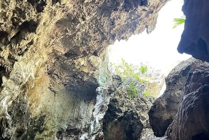 Salaam Cave Zanzibar (Turtles Santuary) - FAQs about Salaam Cave Zanzibar