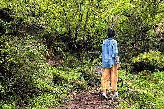 Salalah East Tour (Full Day Tour) - Authentic Experiences and Insights from Reviews