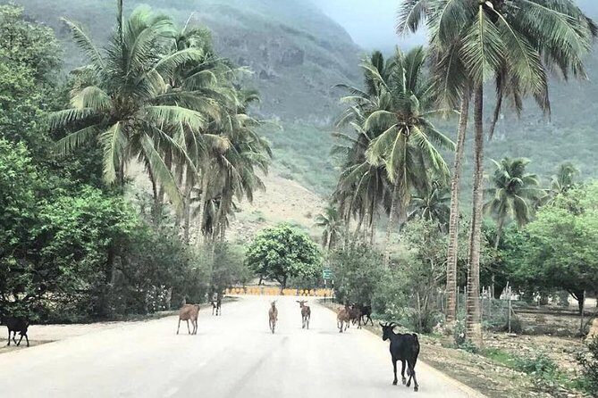 Salalah Mountain Safari Tour 2(Full Day Tour) - The Full Experience: What to Expect