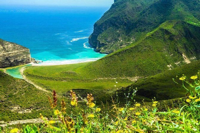 Salalah White Beaches & Panoramic Views of sea (Full Day Tour) - Authentic Experiences and Feedback from Travelers