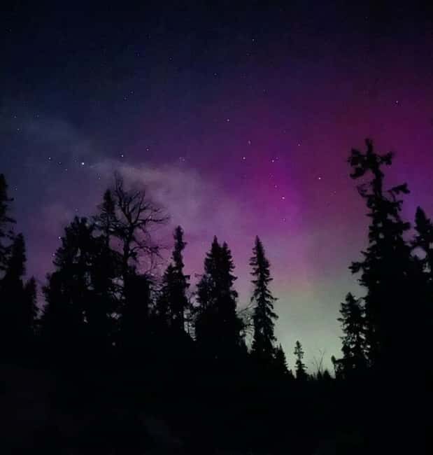 Sälen: Northern Lights Snowshoe Adventure with Pickup - Practical Details and What to Expect