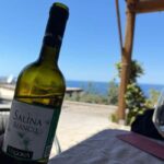 Salina: Wine Tasting & Brunch on Estate in Malfa - Practical Details & How It All Comes Together