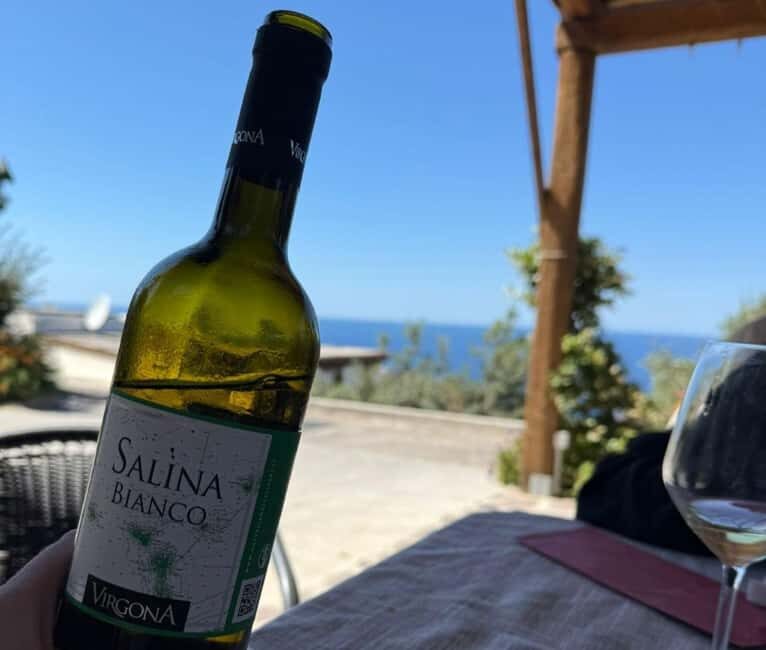Salina: Wine Tasting & Brunch on Estate in Malfa - Practical Details & How It All Comes Together