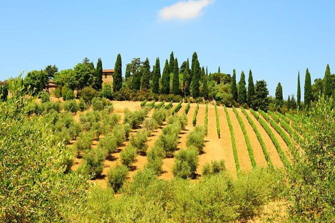San Gimignano, Siena, Monteriggioni: Fully Escorted Tour, Lunch & Wine Tasting - San Gimignano: The Towered Town