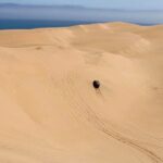 Sandwich Harbour 4x4 Tour - Food, Drinks, and Local Flavors