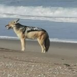 Sandwich Harbour Half Day Excursion - The Sum Up: Is It Worth It?