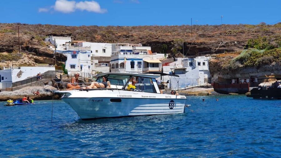 Santa Cruz de Tenerife: Private Family Fishing Tour - Who Is This Tour Best For?