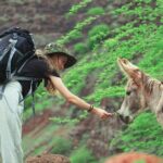 Santiago Island: 4-Hour Calabaceira Valley Hike & Guided Tour to Cidade Velha - Frequently Asked Questions