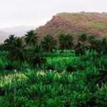 Santiago Island: Banana Plantation, Natural Park & Workshop with a local family - Who Would Enjoy This Tour?