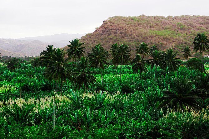 Santiago Island: Banana Plantation, Natural Park & Workshop with a local family - Who Would Enjoy This Tour?