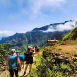Santo Antão: Trekking Cova de Paúl Volcano Crater - Ribeira de Paúl - Authentic Experiences and Reviewer Insights