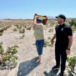 Santorini: Farm to Table Food Tour Experience - Evaluating the Value: Is It Worth It?