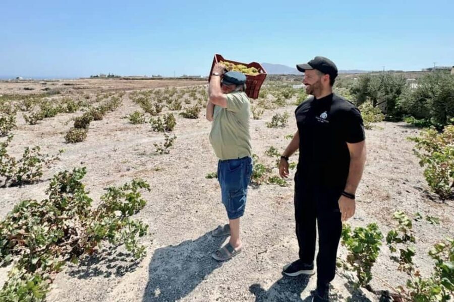 Santorini: Farm to Table Food Tour Experience - Evaluating the Value: Is It Worth It?