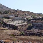 Santorini: Private Agri-Educational Visit to an Organic Farm - What to Expect from the Tour