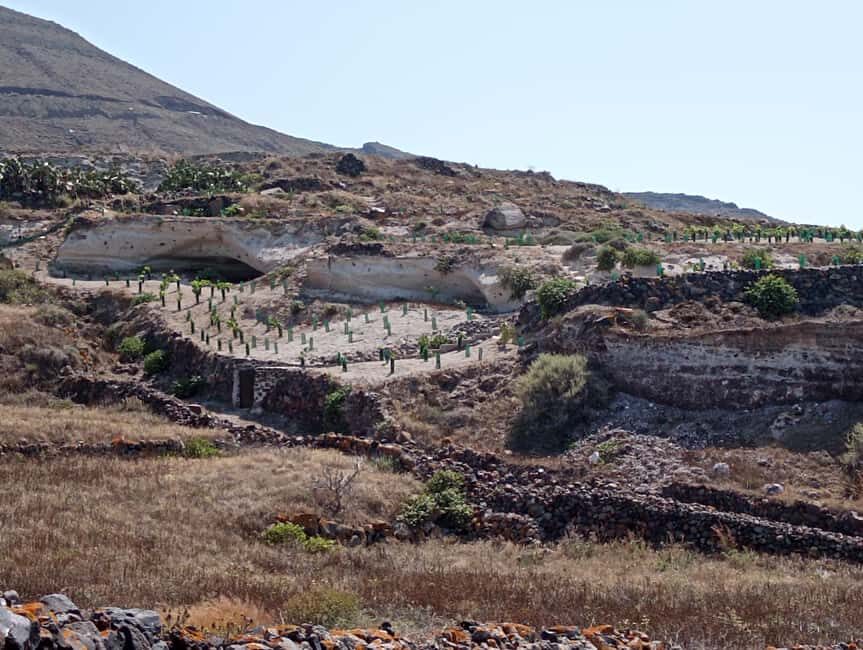 Santorini: Private Agri-Educational Visit to an Organic Farm - What to Expect from the Tour