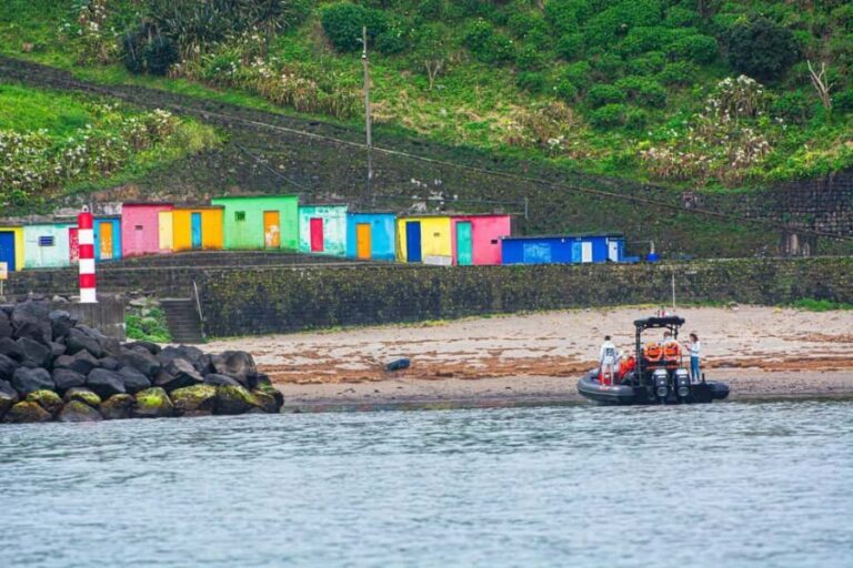 Sao Miguel: Boat Tour of the Wild & Hidden North Coast - Who Is This Tour Best For?