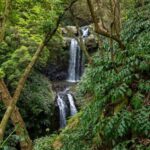 São Miguel Island: Chasing Waterfalls in the Azores Tour - Transportation & Comfort