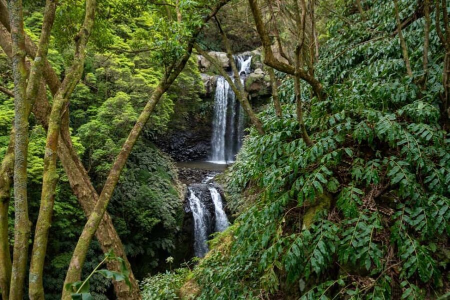 São Miguel Island: Chasing Waterfalls in the Azores Tour - Transportation & Comfort