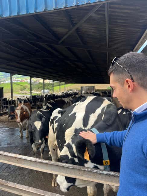 São Miguel: Nordeste Tour with Cow Milking - Practicalities & Considerations