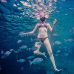 São Miguel: Santa Iria Bay Snorkeling Tour with Music - Practical Details and Tips for the Tour