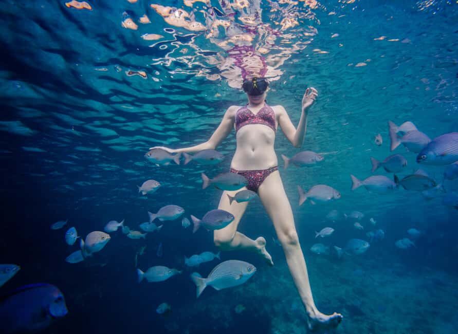 São Miguel: Santa Iria Bay Snorkeling Tour with Music - Practical Details and Tips for the Tour