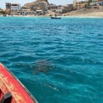 São Pedro experience (hiking & snorkeling with turtles) - The Charm of São Pedro Village