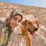 Saqqara, Dahshur - 10%to stray dogs and cats - Transportation, Timing, and Overall Experience