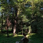 Sarajevo: Stojevac Nature Walk - What’s Included and What to Bring