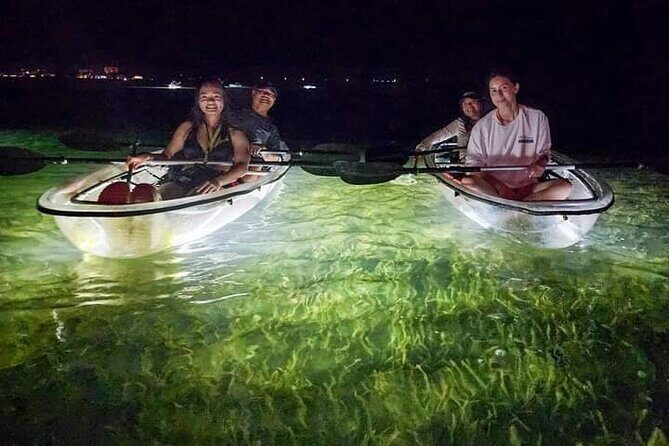 Sarasota - Clear Kayak LED Night Glass Bottom Tour - The Sum Up