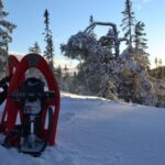 Särna: Fulufjället National Park Guided Hike with Lunch - Key Points