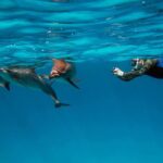Sataya Dolphin House Boat Trip in Marsa Alam - The Reviews: Real Insights from Travelers