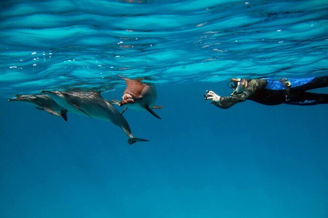Sataya Dolphin House Boat Trip in Marsa Alam - The Reviews: Real Insights from Travelers