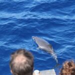Savona: Exclusive nature cruise to the Pelagos Sanctuary - Final Thoughts